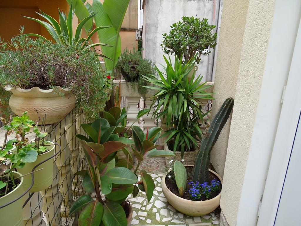 Apartament - Lisa Budva Exterior foto
